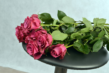 Similar image 6243216