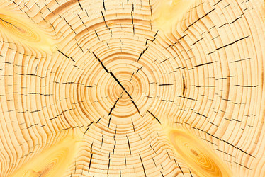 Similar image 6243232