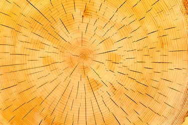 Similar image 6243237