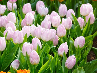 Similar image 6243242