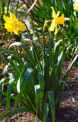 Similar image 6243245