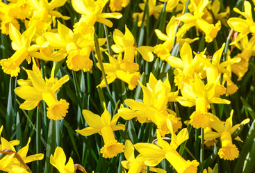 Similar image 6243247