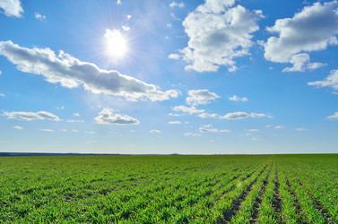 Similar image 6243290