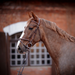 Similar image 6243303