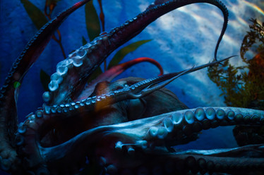 Similar image 6243313