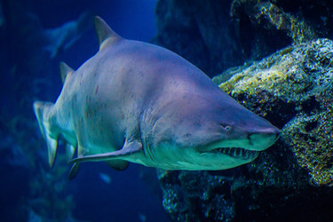 Similar image 6243317