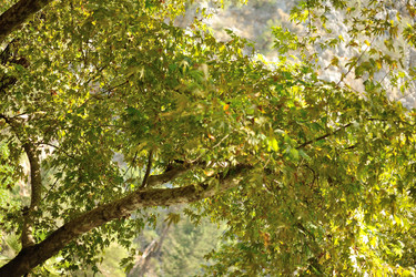 Similar image 6243340