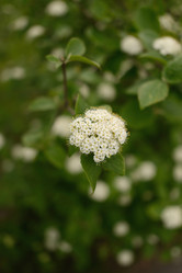 Similar image 6243342