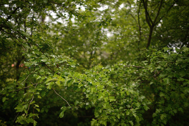 Similar image 6243344