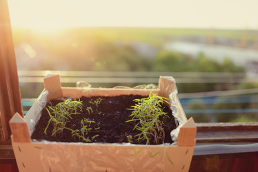 Similar image 6243345