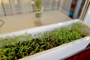 Similar image 6243346