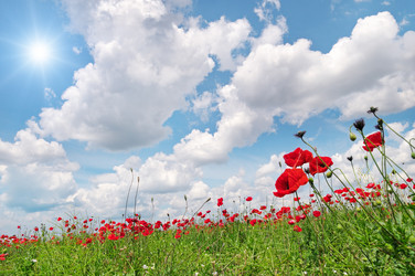 Similar image 6243722