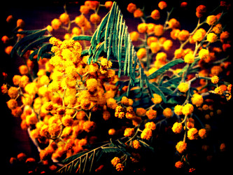 Similar image 6243758