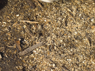 Similar image 6243768