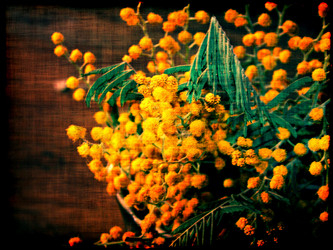 Similar image 6243780