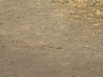 Similar image 6243782