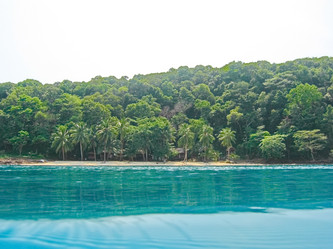 Similar image 6243843