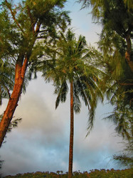 Similar image 6243851