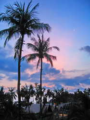 Similar image 6243852