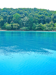 Similar image 6243874