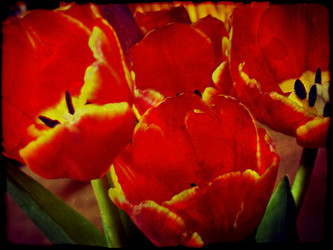 Similar image 6243924