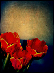 Similar image 6243931