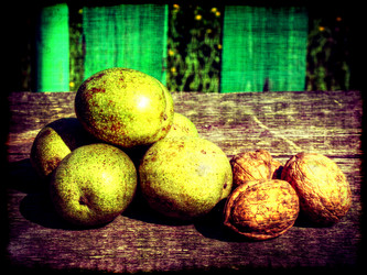 Similar image 6243932