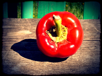 Similar image 6243934