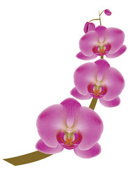 Similar image 6243942