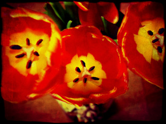 Similar image 6243961