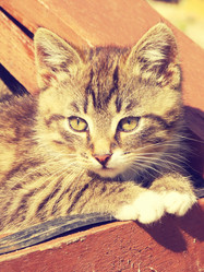 Similar image 6244020