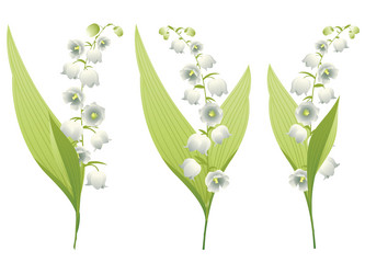 Similar image 6244037