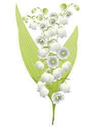 Similar image 6244094