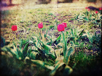 Similar image 6244096