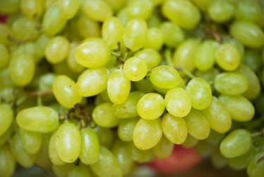 Similar image 6244159