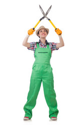 Similar image 6244435