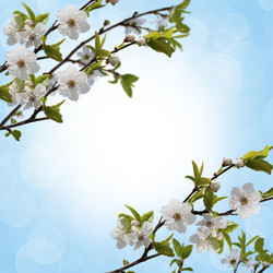 Similar image 6244500