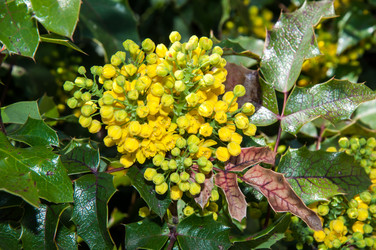 Similar image 6244522