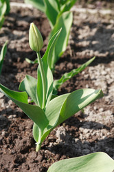 Similar image 6244541