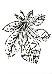 Similar image 6245083