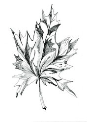 Similar image 6245084