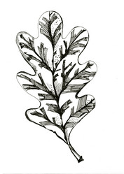 Similar image 6245085