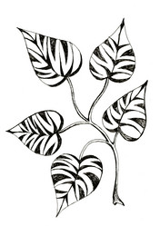 Similar image 6245086