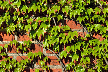 Similar image 6245141