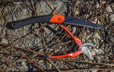 Similar image 6255740