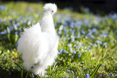 Similar image 6255791