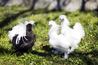 Similar image 6255793