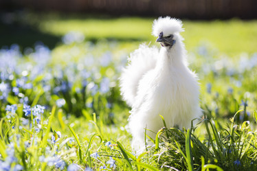 Similar image 6255796