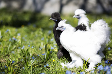 Similar image 6255798