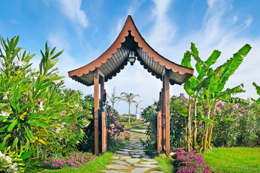 Similar image 6255894